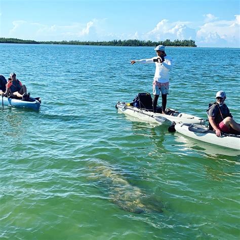 Ten Thousand Islands Eco Tour And Shelling With Hobie Kayak With