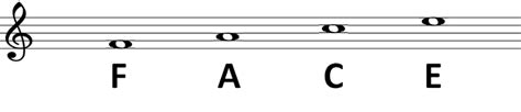 The Notes On The Treble Clef Piano Theory Exercises
