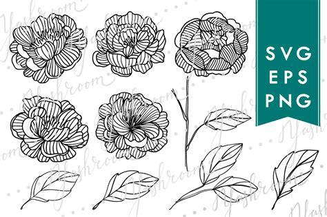 Peony Flowers Silhouette Svg Collection