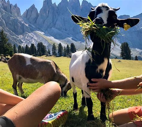 Val Di Funes 2019 All You Need To Know Before You Go With Photos