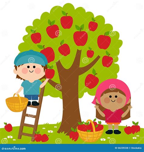 Children Picking Apples Under An Apple Tree Vector Illustration Stock