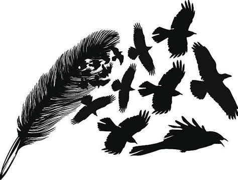 Crow Feather Illustrations Royalty Free Vector Graphics And Clip Art