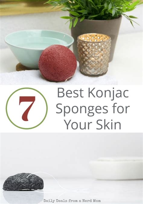 What Are The 7 Best Konjac Sponges To Choose From