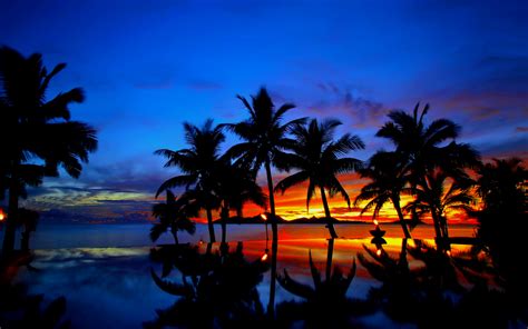 Tropical Sunset Hd Wallpaper Background Image 1920x1200 Id718019