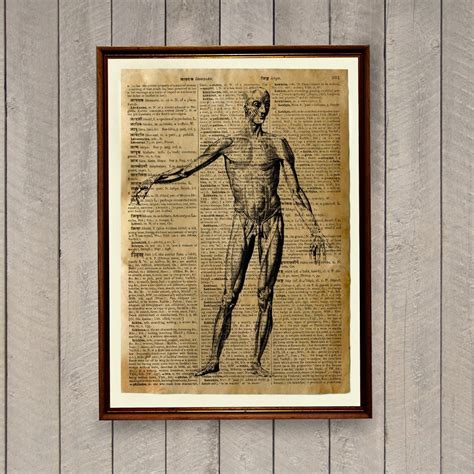Human Anatomy Poster Medical Illustration Rustic Vintage Decor