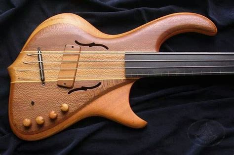 Very Nice Bass Guitar Custom Bass Guitar Electric Bass