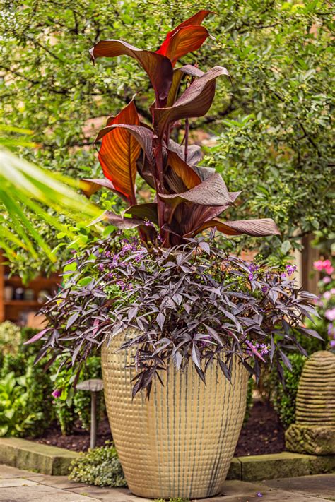 Container Gardens For The Midwest Midwest Living