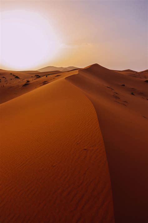 Fotografia Sahara Desert Sun Sunset Camels Merzouga Landscape Colors