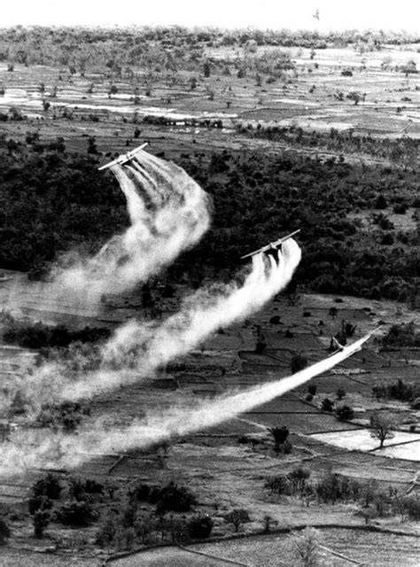 Did Agent Orange Poison Us Military As It Did Vietnamese Yes Flashbak
