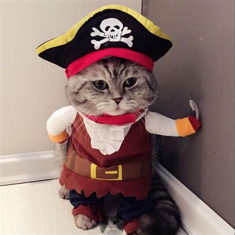 Buy Funny Cat Costume Pirate Suit Cat