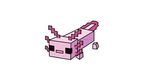 Minecraft Axolotl Draw