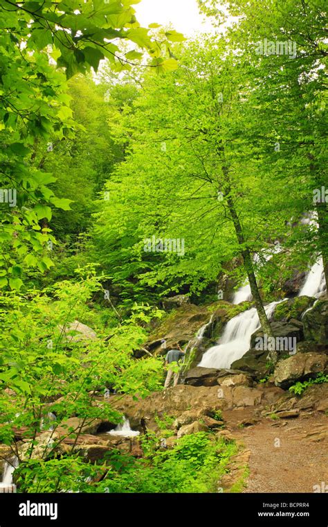 Dark Hollow Falls Shenandoah National Park Virginia Stock Photo Alamy