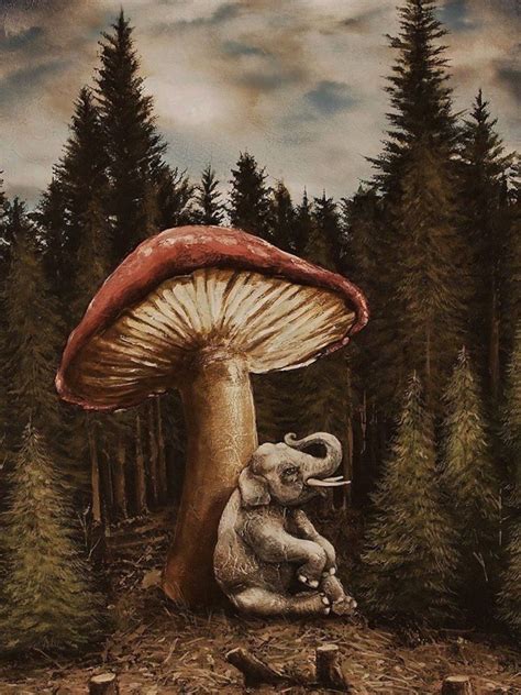 Pin By Danielle Cook On Mushroom Art Mushroom Art Matte Painting Art