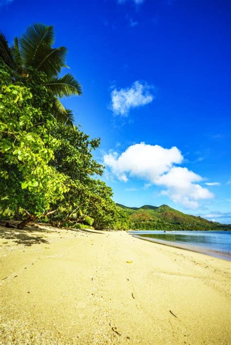 Golden Paradise Beach At Anse Possession Praslin Seychelles 3 Stock