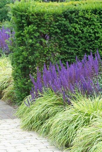 Per garden of 16 plants. Do you need inspiration for perennials in your modern ...