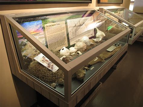 Glass Artifact Case Detail Museum Exhibit Design Ast Exhibits