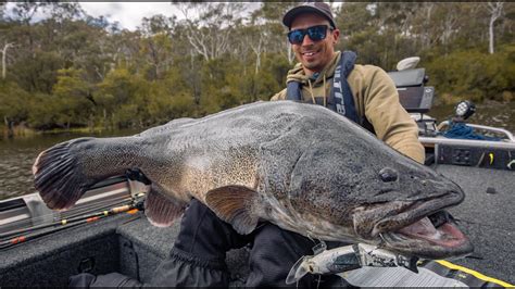 Australian Freshwater Giants Topwater Fishing For Big Murray Cod