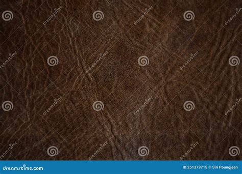 Dark Brown Leather Stock Image Image Of Pattern Work 251379715