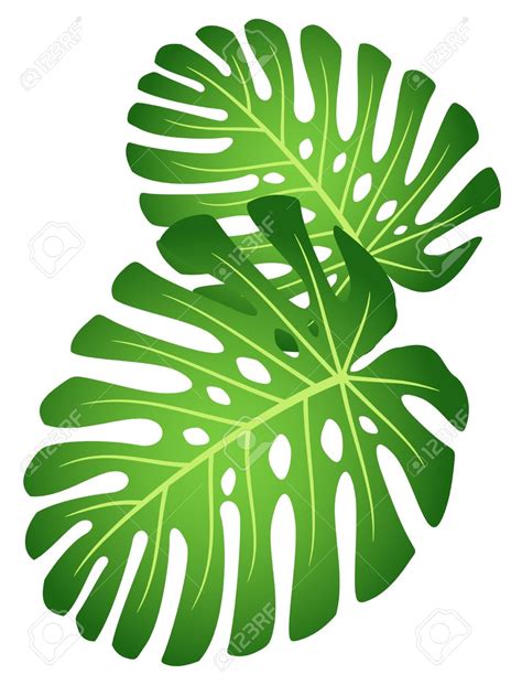 Jungle Leaves Clipart Free Download On Clipartmag