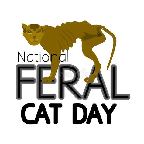 National Feral Cat Day Illustration Vector Stock Vector Illustration