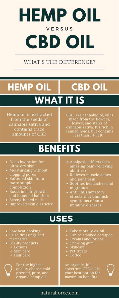 Hemp Seed Oil Vs Cbd Oil Everything You Need To Know