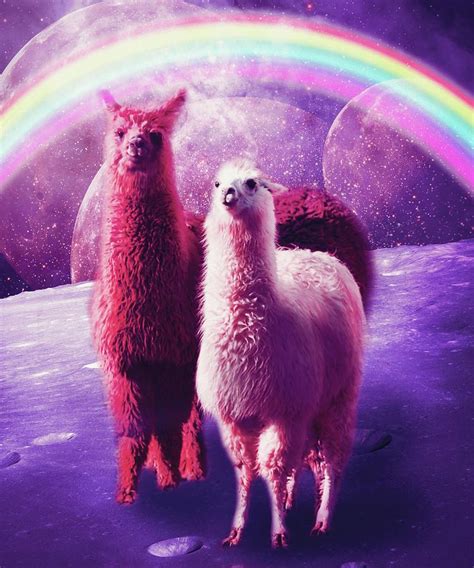 Crazy Funny Rainbow Llama In Space Digital Art By Random Galaxy Fine