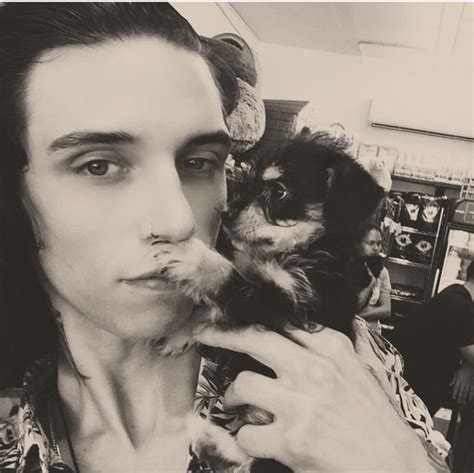 Andy Biersack Memory On Twitter Newpuppy Daredevilthedog Follow On