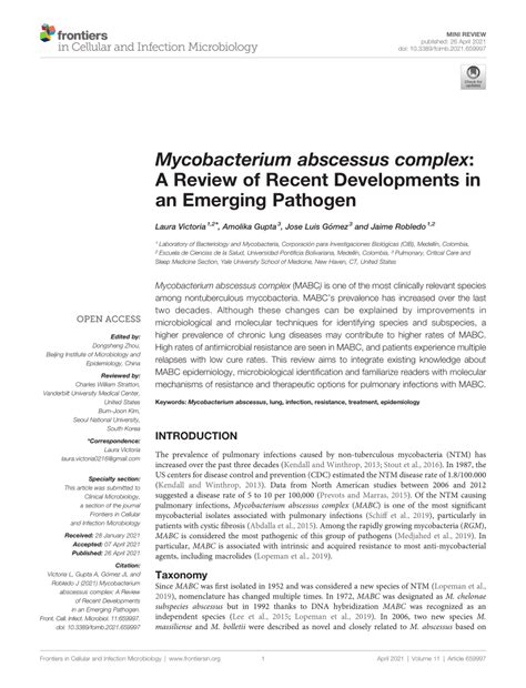 Pdf Mycobacterium Abscessus Complex A Review Of Recent Developments