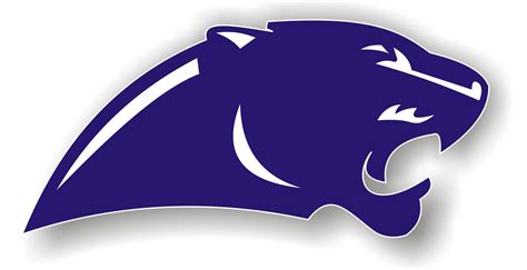 Panthers Logos