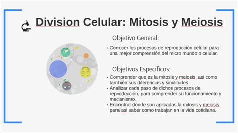 Division Celular Mitosis Y Meiosis By David Oliva