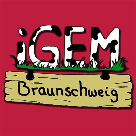 igem team braunschweig braunschweig