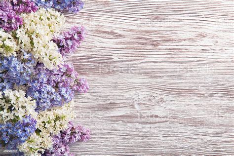 Lilac Flowers Buket Latar Belakang Kayu Tandan Ungu Di Atas Tekstur