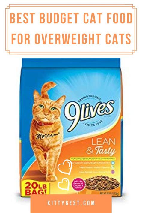 Best Cat Food For Overweight Cats Reviews And Complete Buying Guide