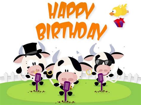 Geburtstagsgruß Mit Singenden Kühen Animierte Geburtstagskarten