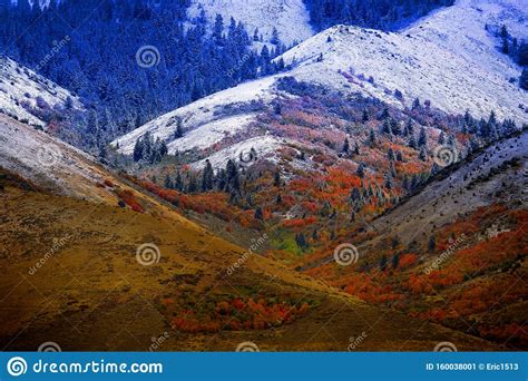 Mountain Landscape In Late Fall With Autumn Colors And First Snow Stock
