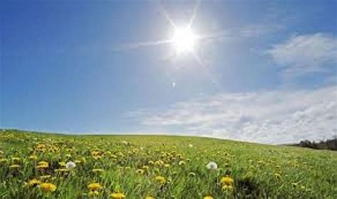 Sunny Day Ahead With Temperatures To Hit 26 Anglo Celt