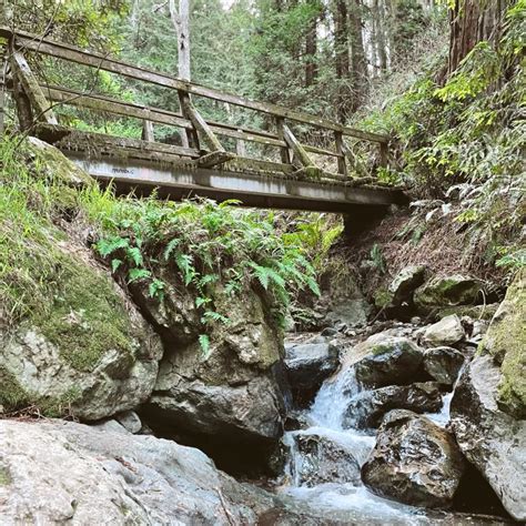 Dipsea Trail Steep Ravine Matt Davis Loop A Top Bay Area California