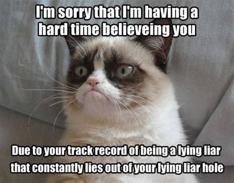 Liar Lol Funny Grumpy Cat Memes Grumpy Cat Quotes