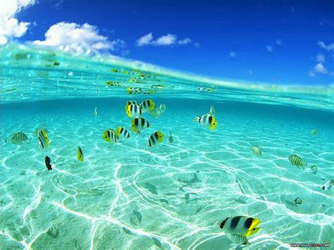 45 Free Desktop Wallpaper Ocean Scenes On Wallpapersafari