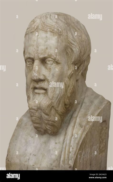 Herodotus Marble Bust Of Ancient Greek Historian Isolated With