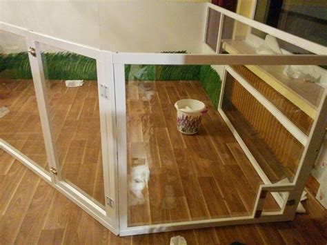 Design outdoor rabbit cages » einen käfig für draußen entwerfen und bauen. Innengehege 7 Quadratmeter | Langohrwelt | Indoor bunny ...