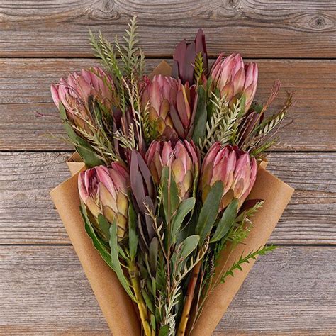 Red Protea And Safari Sunset Flowers The Bouqs Co