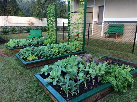 Get Your Garden Growing With Raised Beds
