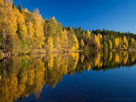 Norwegian Autumn Reflections Autumn Leaves At Peak Color I Flickr