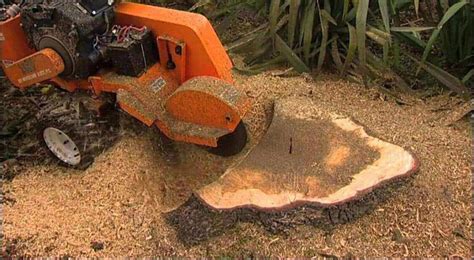 Benefits Of Stump Grinding Service Ultimate Guide