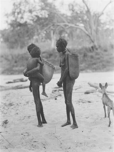 indigenous australians australian aboriginal history aboriginal history australian aboriginals