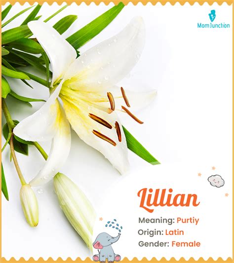 Lillian Name Meaning Origin History And Popularity