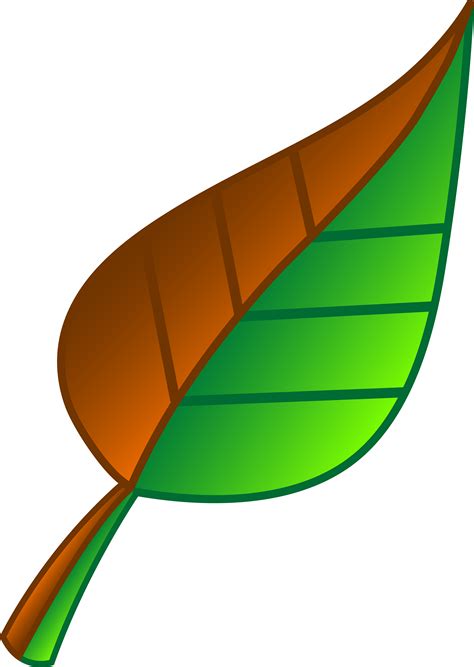 Leaves Cartoon - Cliparts.co png image