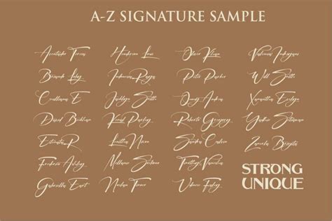 Signatrue Elegant Signature Font Dafont Free