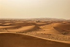 Immagini Belle : paesaggio, caldo, deserto, duna, habitat, sahara, wadi ...